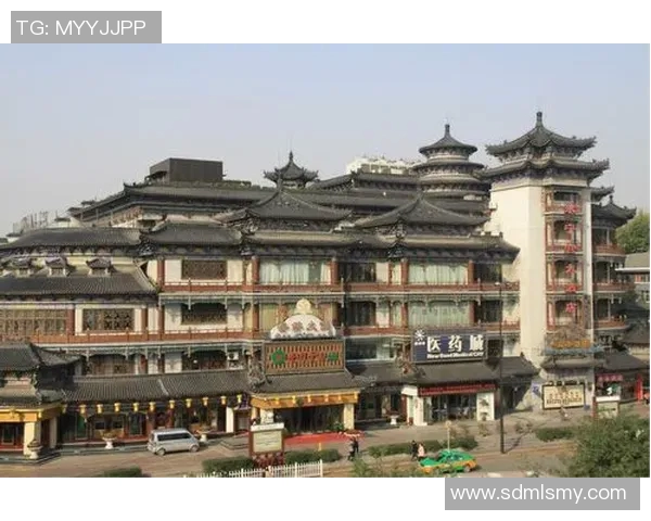 西安乒乓球队的崛起之路与辉煌成就全景回顾