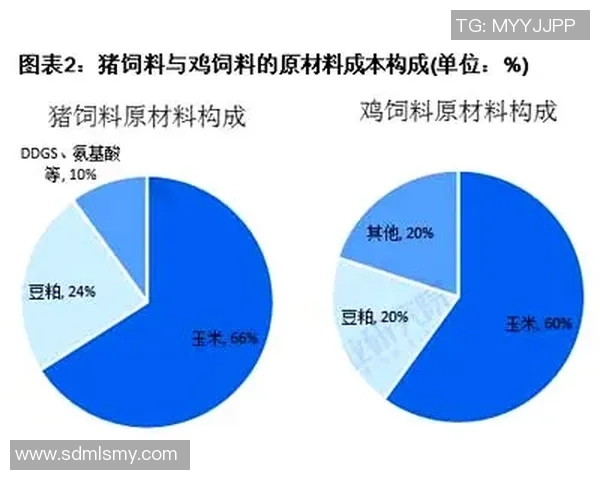 足球明星卡价值评估与市场趋势分析方法探讨